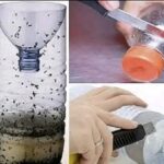 The homemade mosquito trap that you can place anywhere