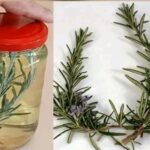 How to scent your entire kitchen in 1 minute with a sprig of rosemary and a lemon