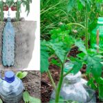 Maximize Your Garden’s Potential: Creating a Homemade Drip Irrigation System