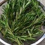 7 things you can do if you have rosemary at home