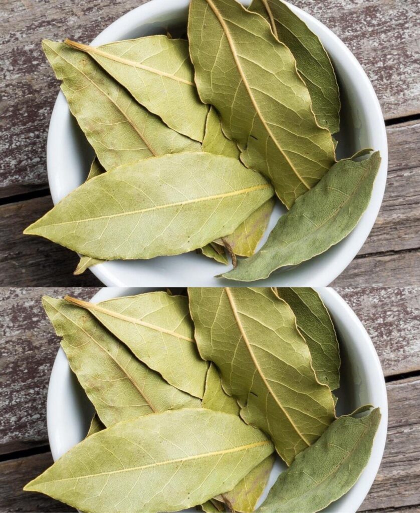 I’ve been using a trick for five years now: I put bay leaves everywhere. The method is effective and reliable