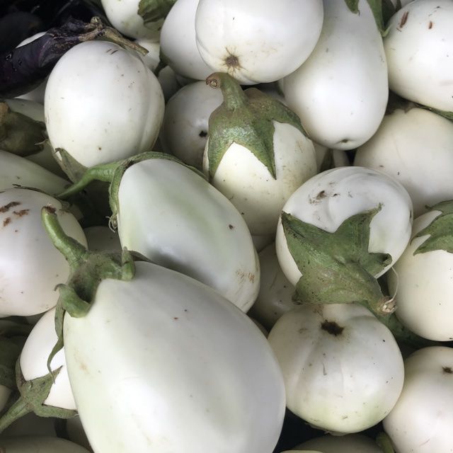 Very white aubergines in oil