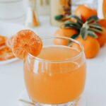  Mandarinetto or Mandarin Liqueur