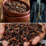 The Benefits and Recipe for a Clove and Malt Drink