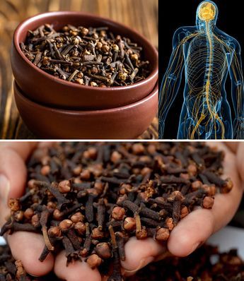 The Benefits and Recipe for a Clove and Malt Drink