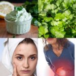 The Amazing Health Benefits of Cilantro: A Gardener’s Green Gold