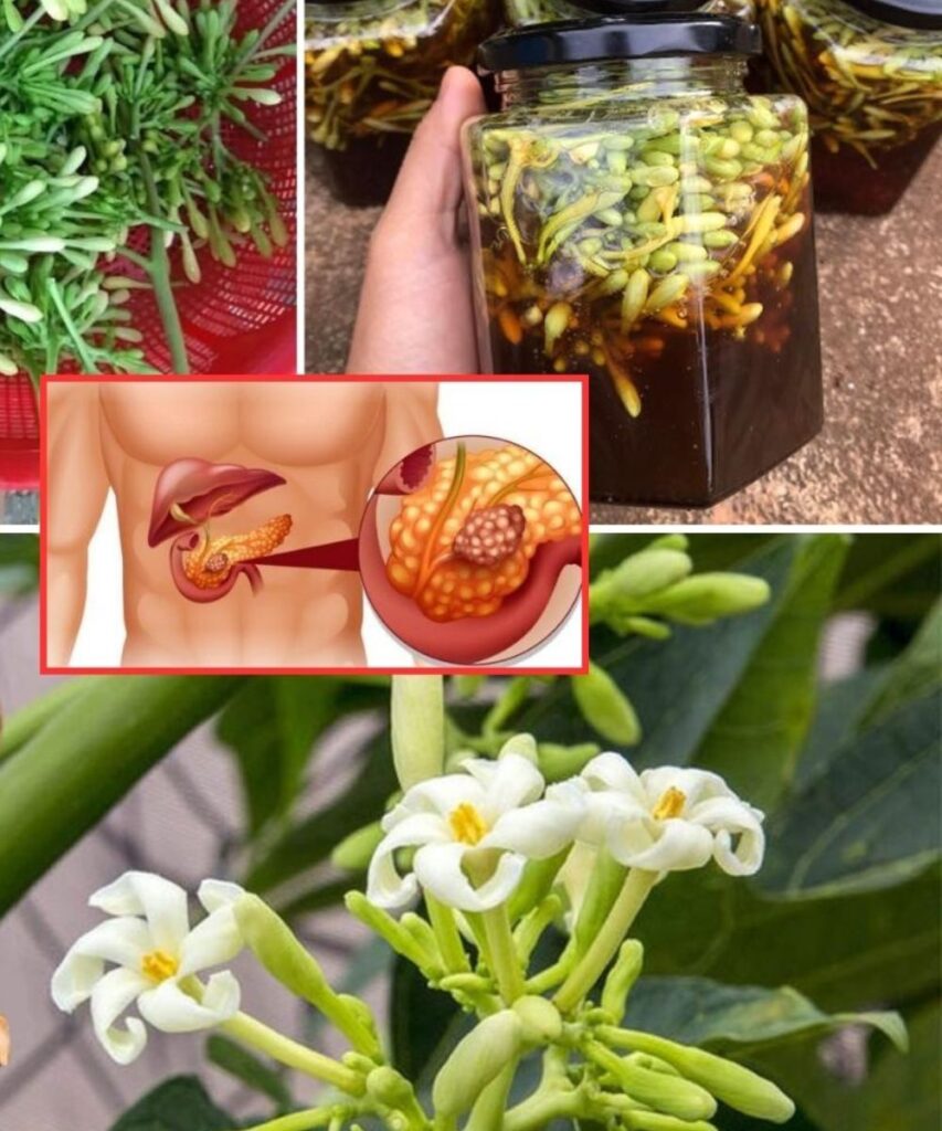 Papaya Flowers Soaked in Honey: Benefits You Should Know