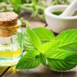 The Versatile Mint: Health Benefits, Uses, and How to Incorporate It into Your Daily Routine