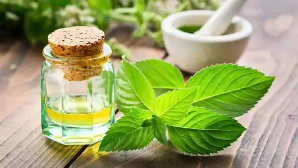 The Versatile Mint: Health Benefits, Uses, and How to Incorporate It into Your Daily Routine