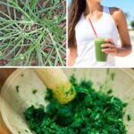 9 Surprising Health Benefits of Goosegrass You Need to Know