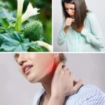 Can Datura Stramonium Be Used Safely? Top 5 Unexpected Benefits and Cautions
