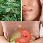 7 Health Benefits of Bledo Blanco: A Nutritional Powerhouse You Can’t Miss