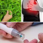 Top 10 Health Benefits of Chanca Piedra You Need to Know