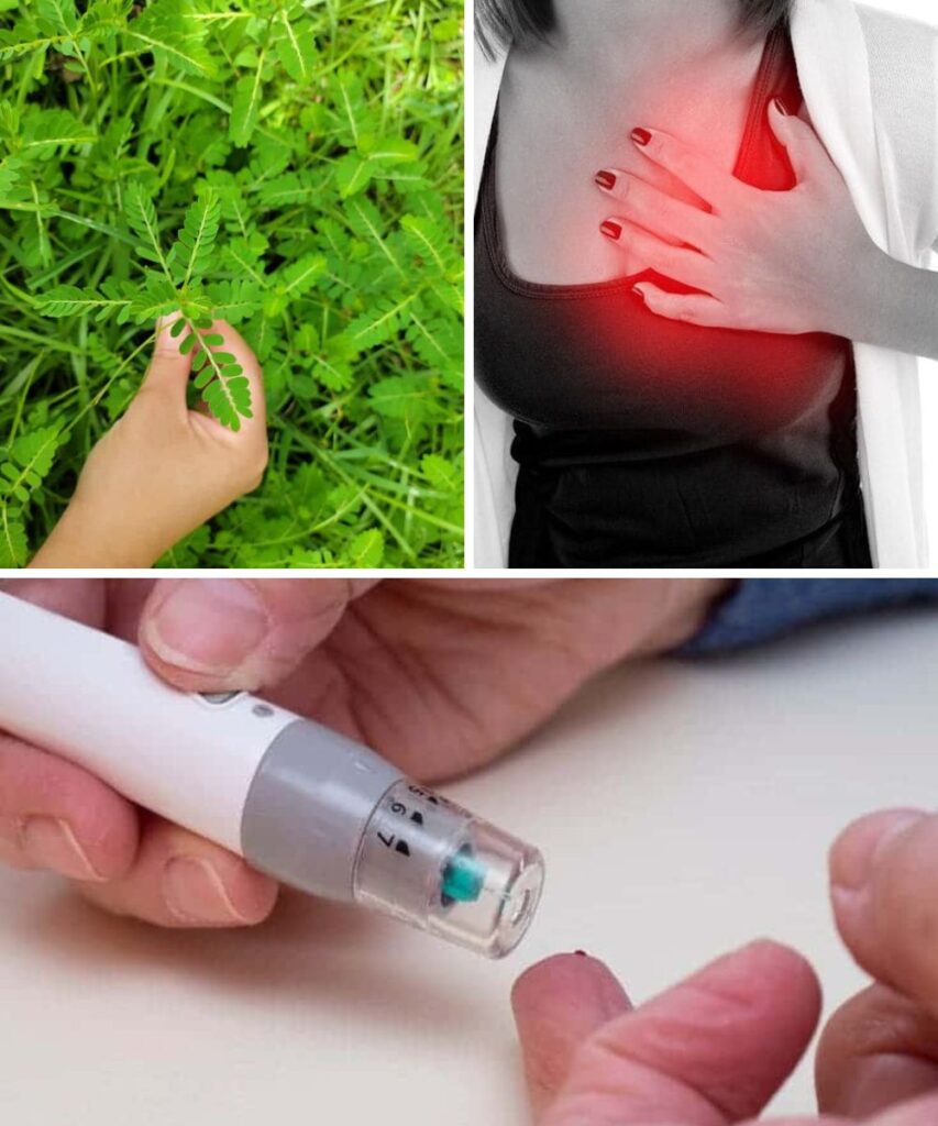 Top 10 Health Benefits of Chanca Piedra You Need to Know
