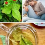 10 Incredible Health Benefits of Strawberry Leaves You Need to Know