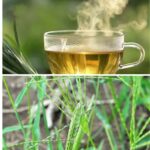 10+ Surprising Health Benefits of Crabgrass and How to Use It Effectively