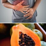 Unlocking 8 Health Benefits of Papaya Seeds: The Hidden Gem in Your Fruit
