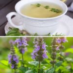 8 Hidden Benefits of Basil Flowers for Your Health
