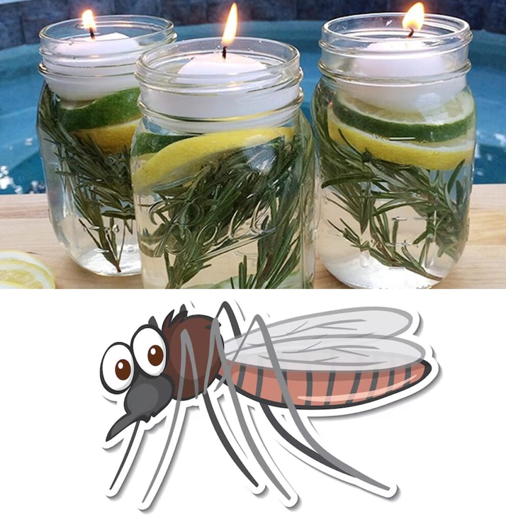 How to Make a Strong Insect Repellent Candle