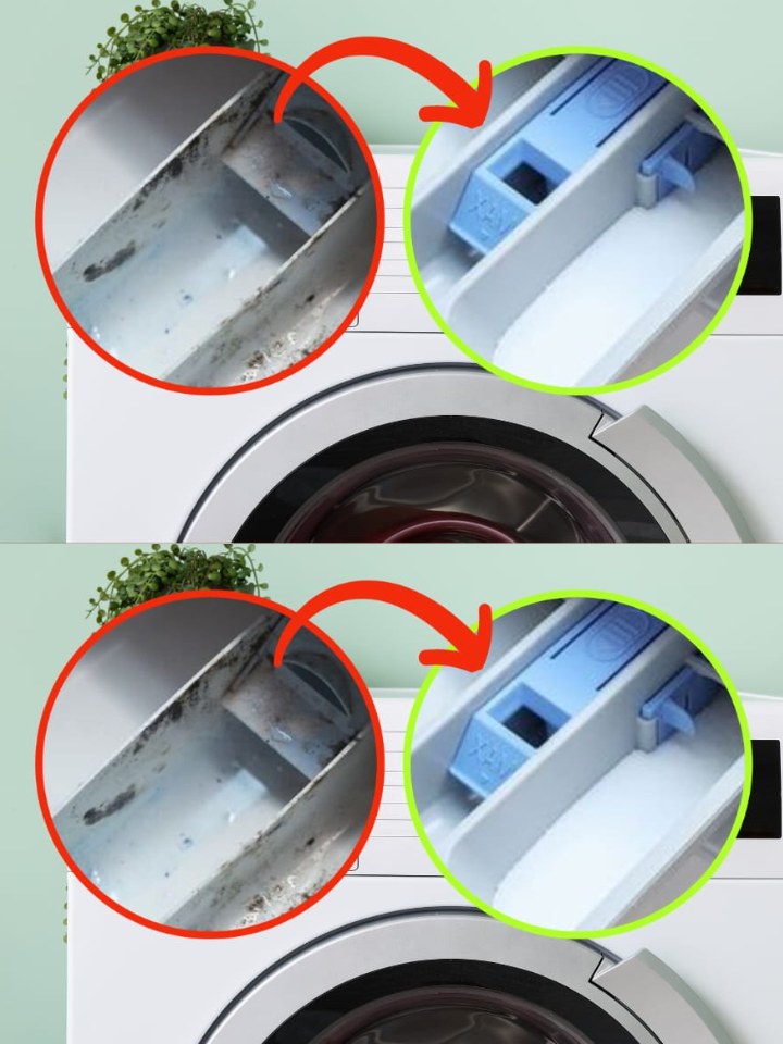 Mold in the washing machine tray, with this ingredient you can make it new again
