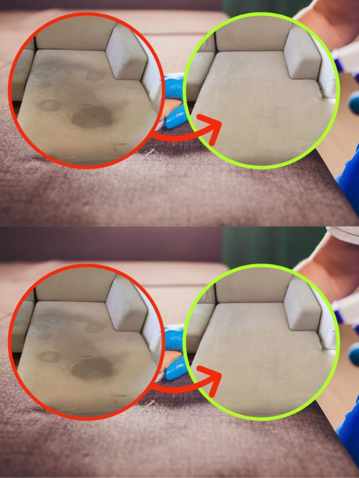 Pee stains on the sofa at home, use this strong natural stain remover