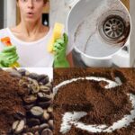 Have you ever thrown coffee grounds into your bidet? Do it now: exceptional results