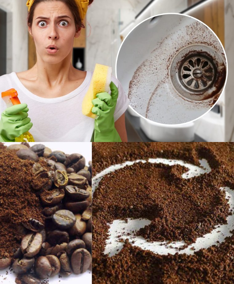 Have you ever thrown coffee grounds into your bidet? Do it now: exceptional results