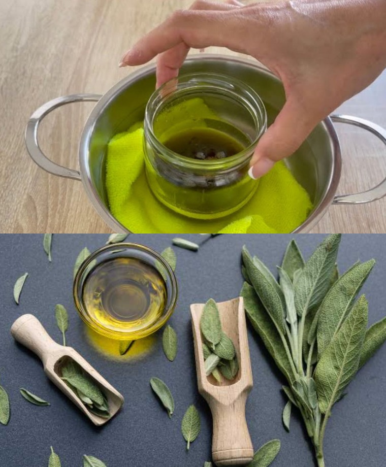 The natural oil that eliminates wrinkles without a scalpel: simply apply in the morning