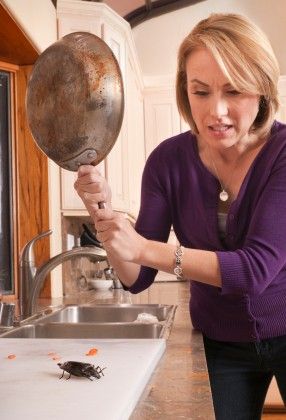 How to Keep Cockroaches Away from the Kitchen: The Only 100% Reliable Remedy