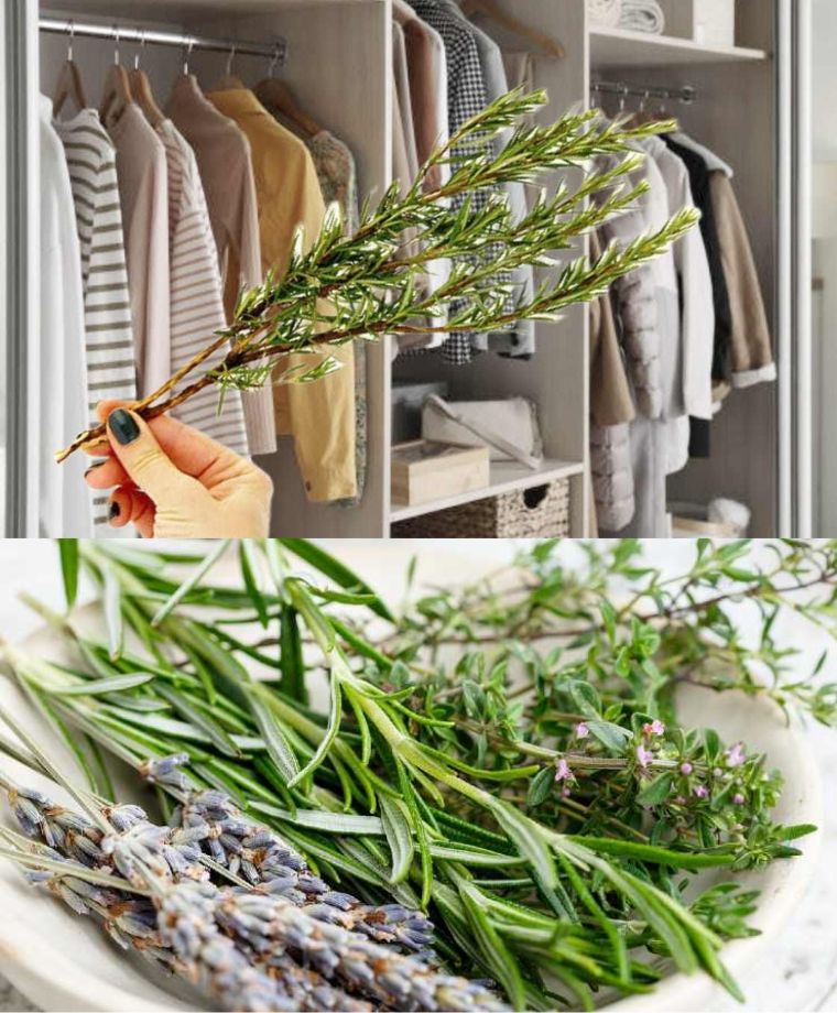 1 sprig of rosemary in the cupboard, they even do it in the laundry room