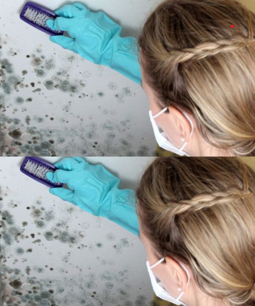 Remove mold, but do it right