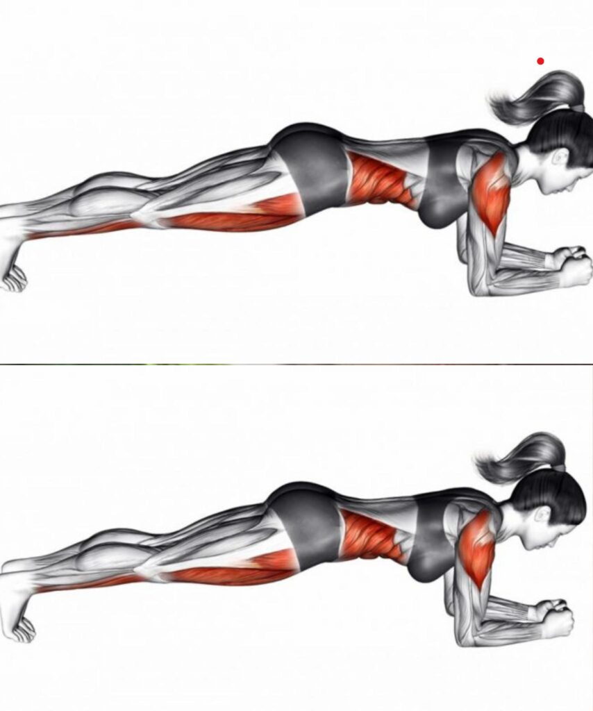 The exercise is 1000 times more effective than conventional sit-ups