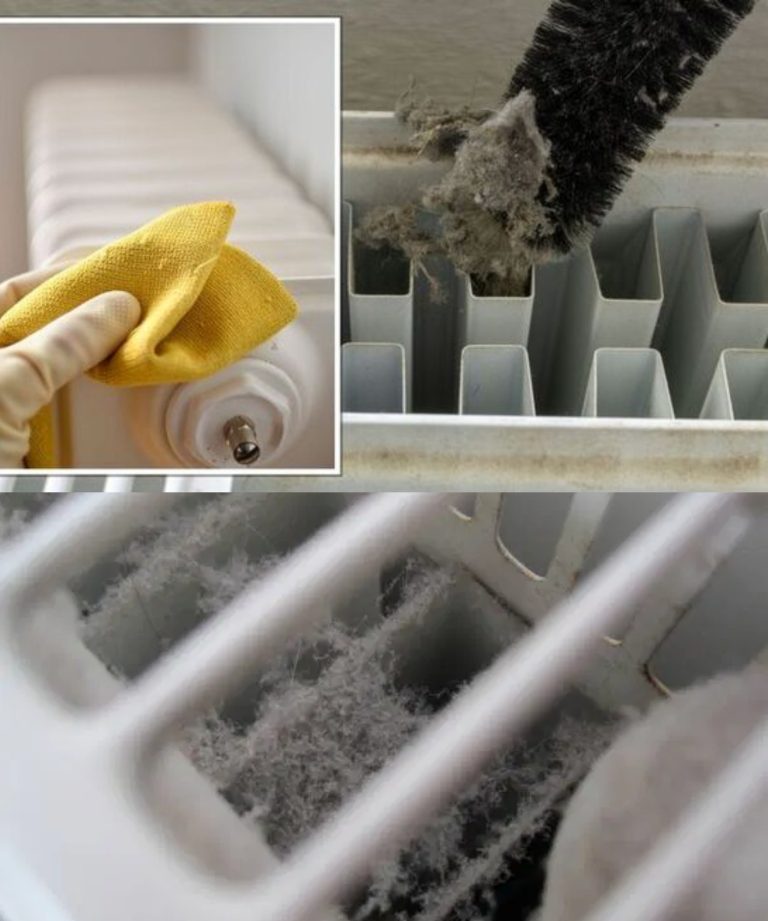 DIRTY AND DUSTY RADIATORS: THE KNOT METHOD FOR WASHING WITHOUT WATER