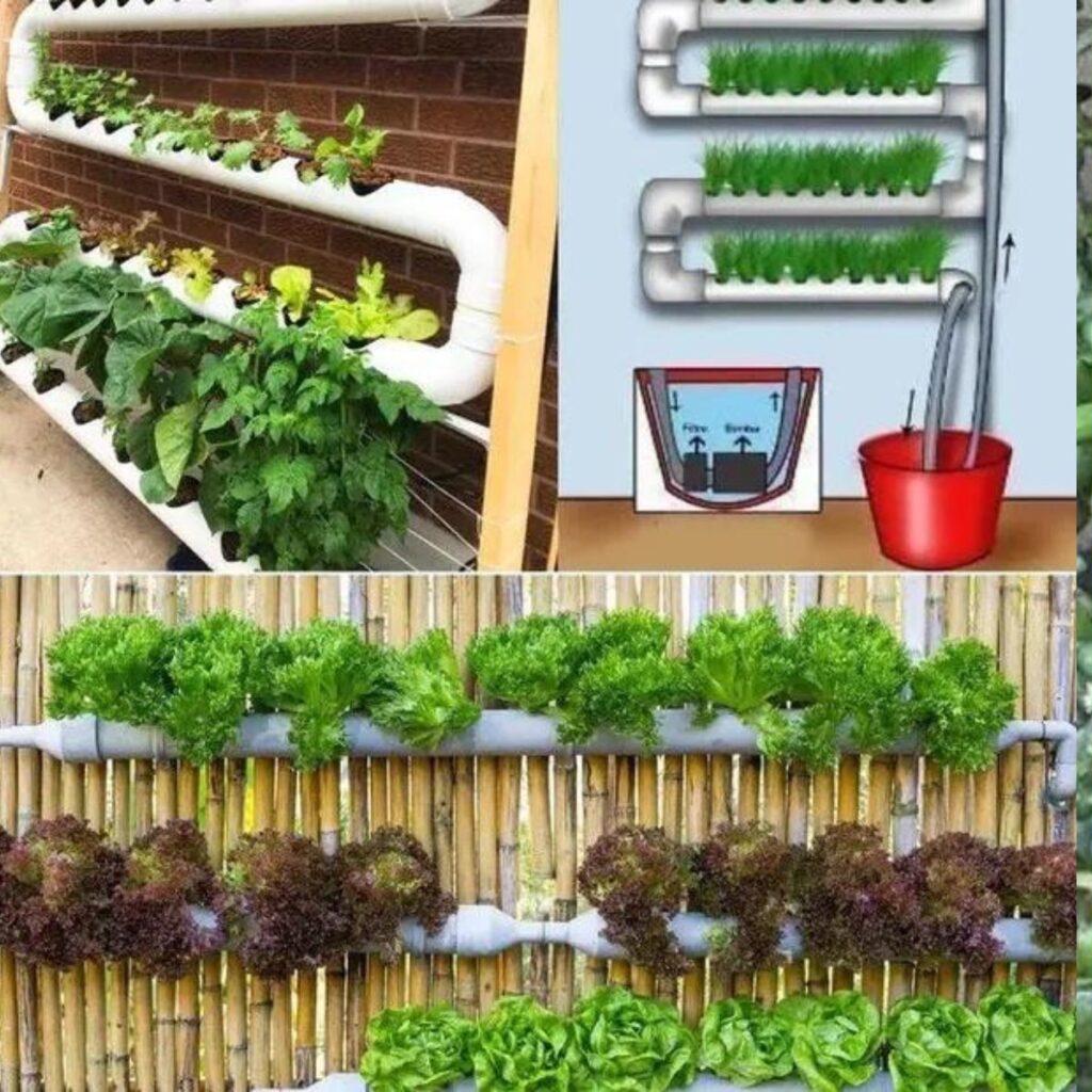 DIY Hydroponic Growing System: Create Your Own System at Home