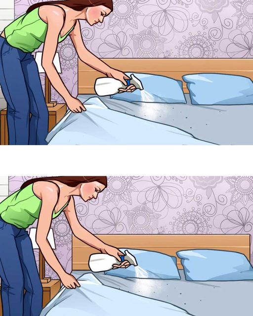 When the heat comes, I always use this trick to get rid of all bed bugs, fleas and moths