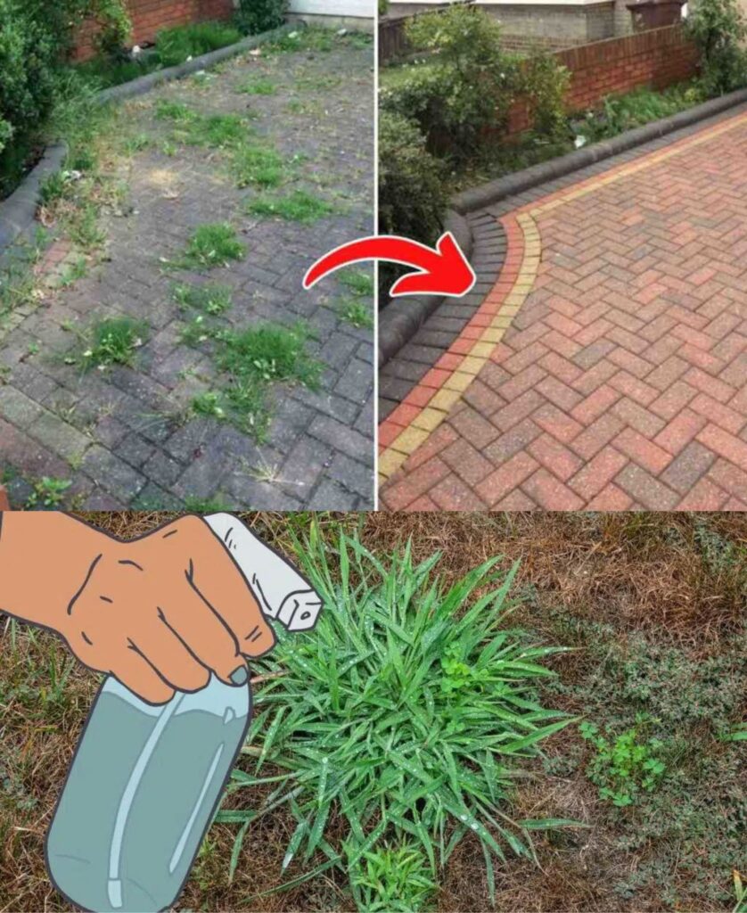 Recipe for a natural weed killer with baking soda and vinegar