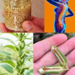 The health benefits of sesame: A nutrient-rich superfood and its versatile uses