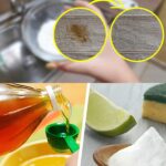 STUBBORN STAINS ON THE TABLECLOTH – FORGET BLEACH: YOU WILL ONLY REMOVE IT IF YOU USE THIS