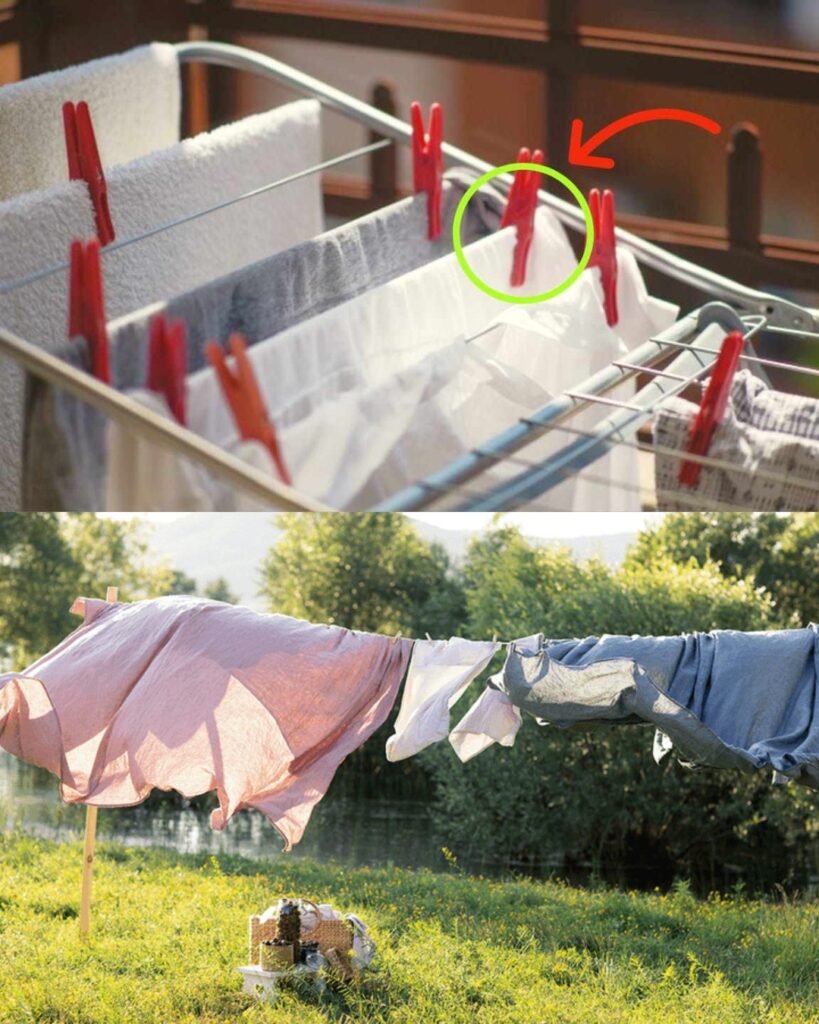 WHY DO YOU SMELL THIS WONDERFUL AROMA WHEN YOU DRY CLOTHES IN THE SUN?