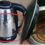 I use a kettle every day, but many families do not pay attention to one thing: Seeing the picture will surprise you