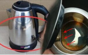 I use a kettle every day, but many families do not pay attention to one thing: Seeing the picture will surprise you