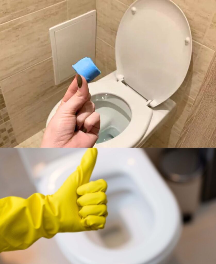 The mother-in-law is coming: These cleaning cubes save me when I need to freshen up the toilet quickly