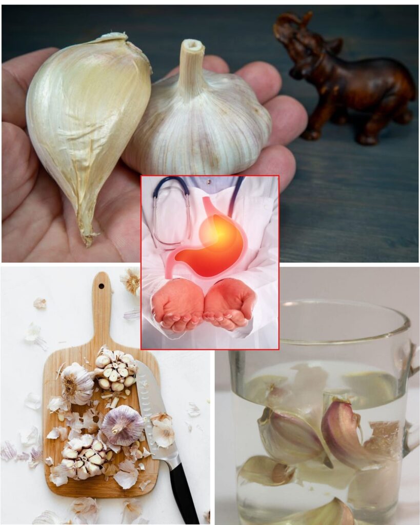The Hidden Power of Garlic Peels: Benefits for Your Health, Garden, and More