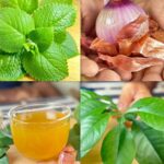 Eliminate Cancer, Diabetes, and High Blood Pressure with Dr. Frank Suárez’s Home Remedy