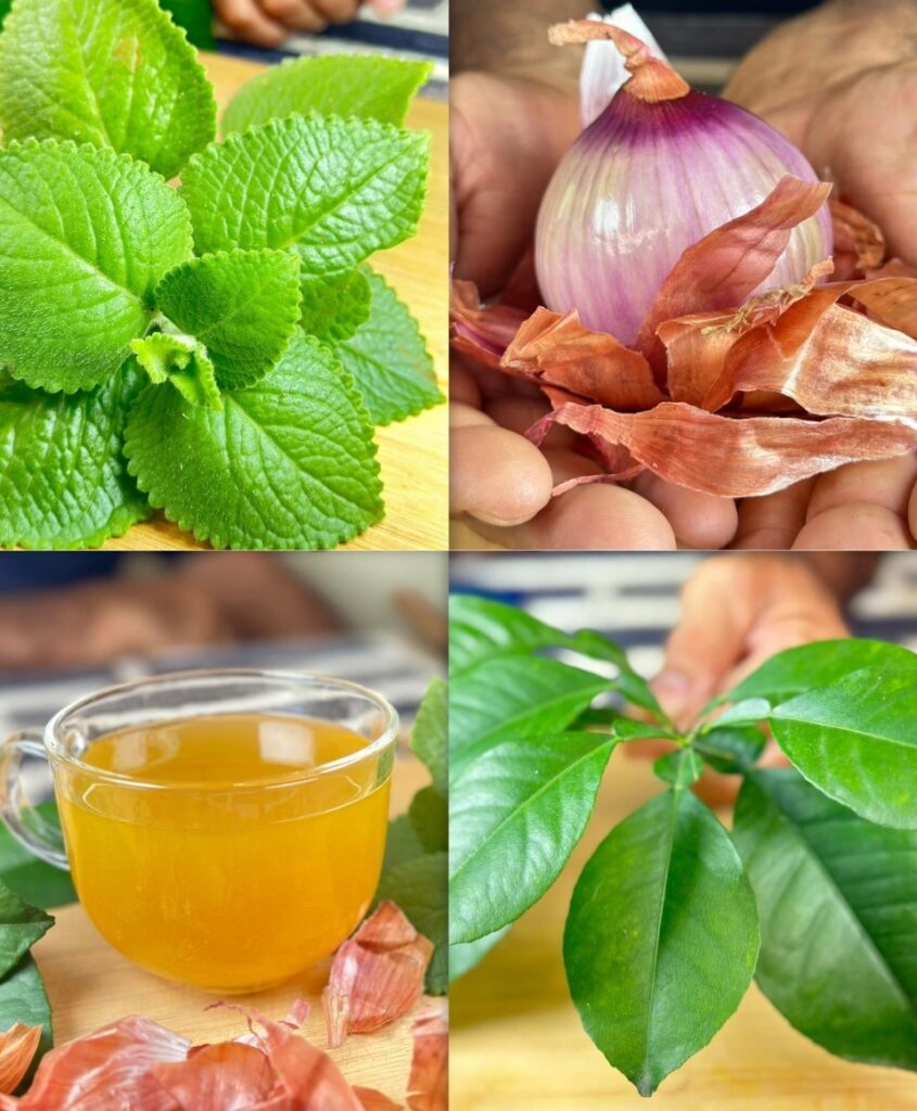 Eliminate Cancer, Diabetes, and High Blood Pressure with Dr. Frank Suárez’s Home Remedy