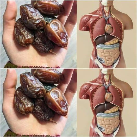 What happens if you start eating two dates every day while peeing?