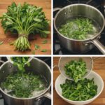 Purslane is a plant with multiple benefits