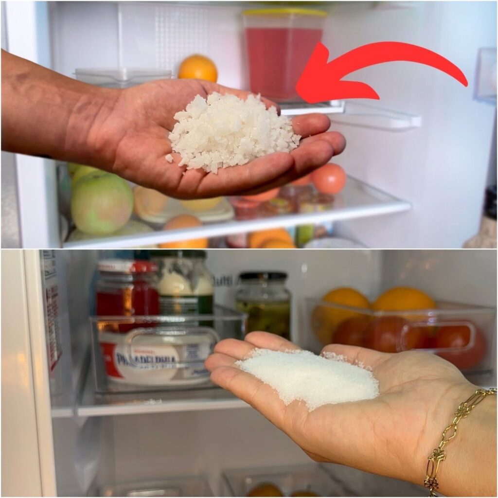The wonders of salt in the fridge: A simple trick with a big impact