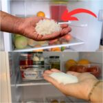 The wonders of salt in the fridge: A simple trick with a big impact