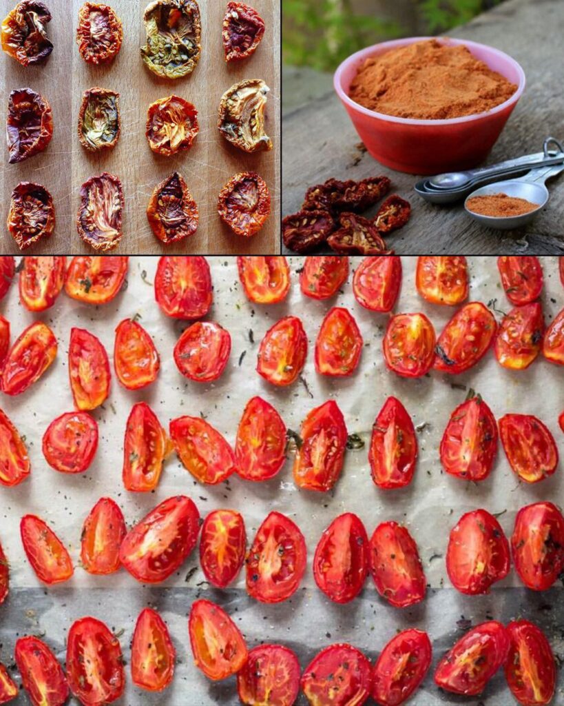 Don’t let your tomatoes go bad: make delicious tomato powder out of them!